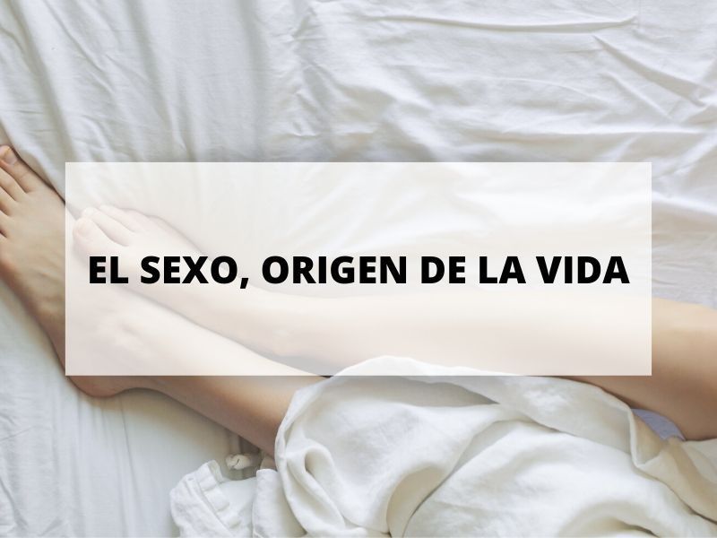 El origen de la vida fue el sexo